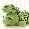 Big Eye Turtle Plush Toy